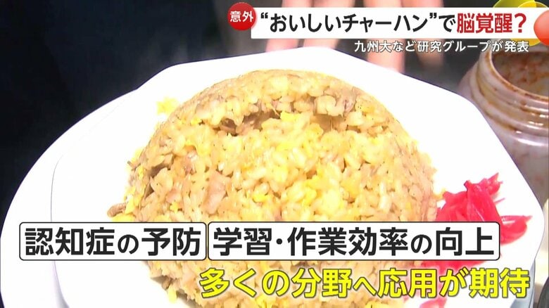 多くの分野への応用が期待されている冷凍チャーハンを使った実験