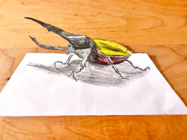 ヘラクレスオオカブト（提供：Pekepomさん）