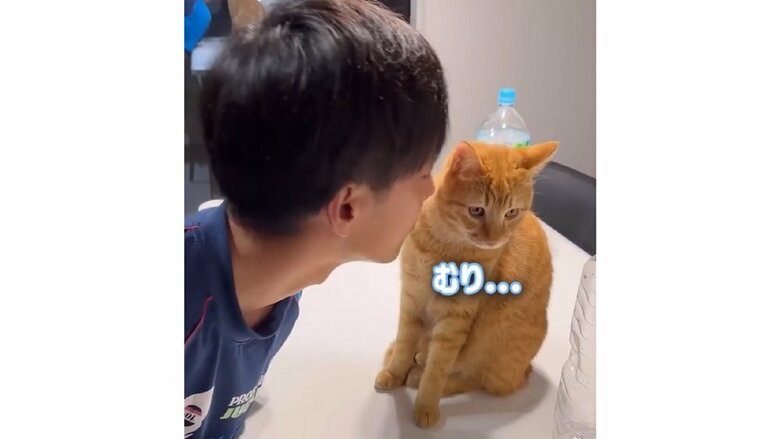 しかし、パパさんへは塩対応でキスをよけるとらまるくん