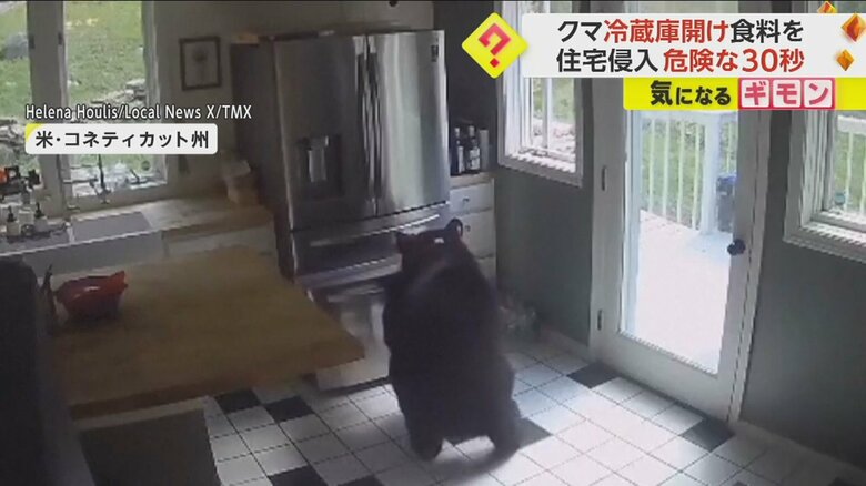 クマが冷蔵庫を器用に開け、食べ物をくわえる様子④