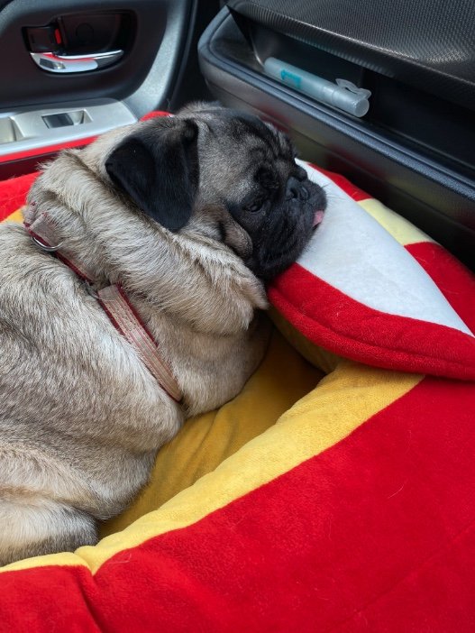 提供：ボンさん