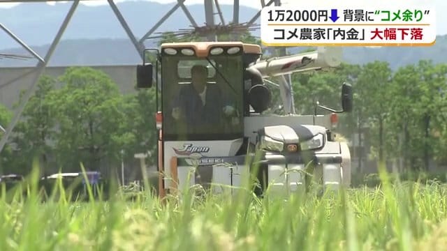 生産コストは上昇、内金は下落…厳しい農家経営