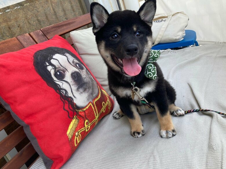 提供：小梅と小夏さん