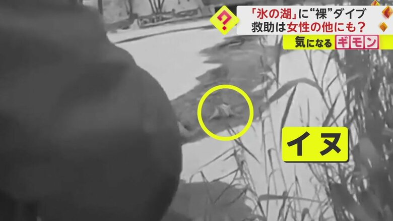 救出時、犬は冷たい水の中でもがいていたが…
