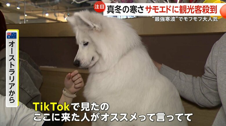 SNSで拡散された動画を見て来店する人も多い