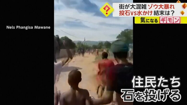 大通りに出現したゾウに、石を投げつけ追い払おうする住民