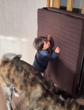 おばあちゃんが見る前に終了してしまった…