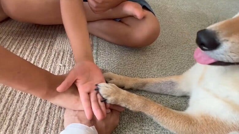 家族で手を合わせた時。むぎまるくんも参加