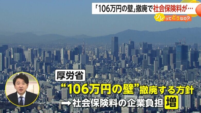 「106万円の壁」を撤廃する方針を固めた厚生労働省