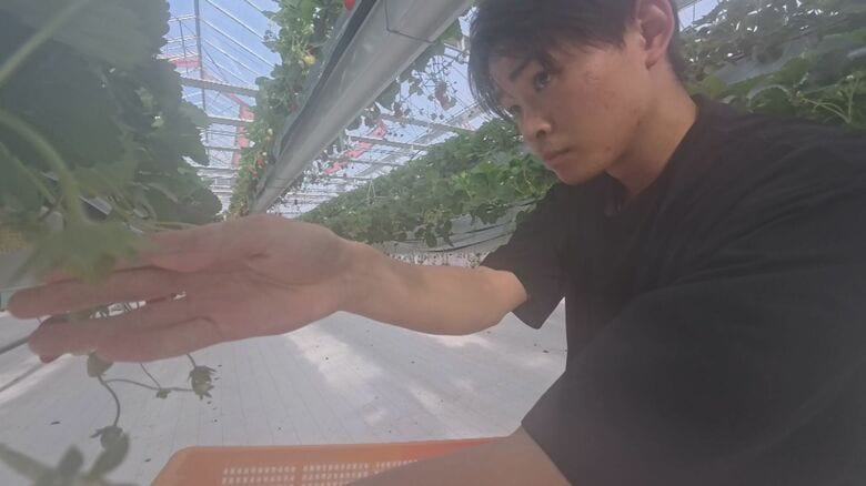 最年少スタッフの渡部竜也さん（25歳）