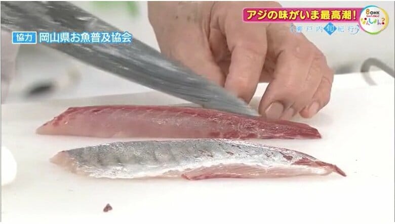 背側の赤みと腹側の白さ