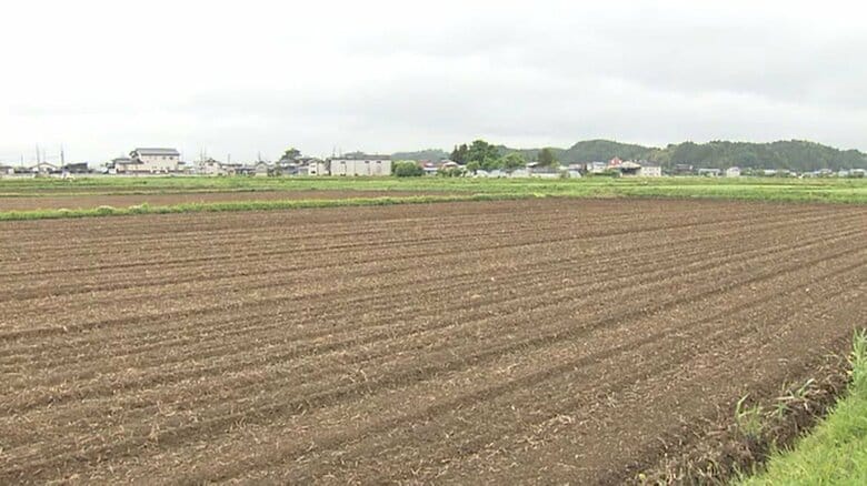 スポーツパーク建設予定地