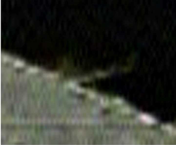 小惑星「リュウグウ」に金属弾を衝突させ、その噴出物を確認した（提供：JAXA/神戸大）