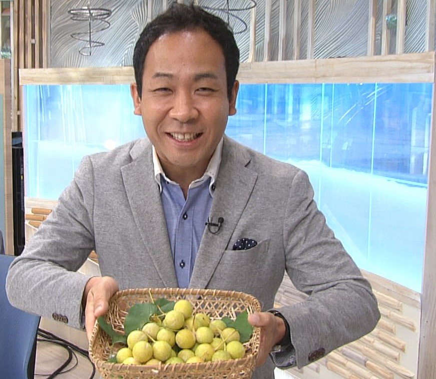 まもなく旬の秋の味覚 ギンナン イチョウには オスの木 と メスの木 がある 驚きの生態を果樹園に聞いた