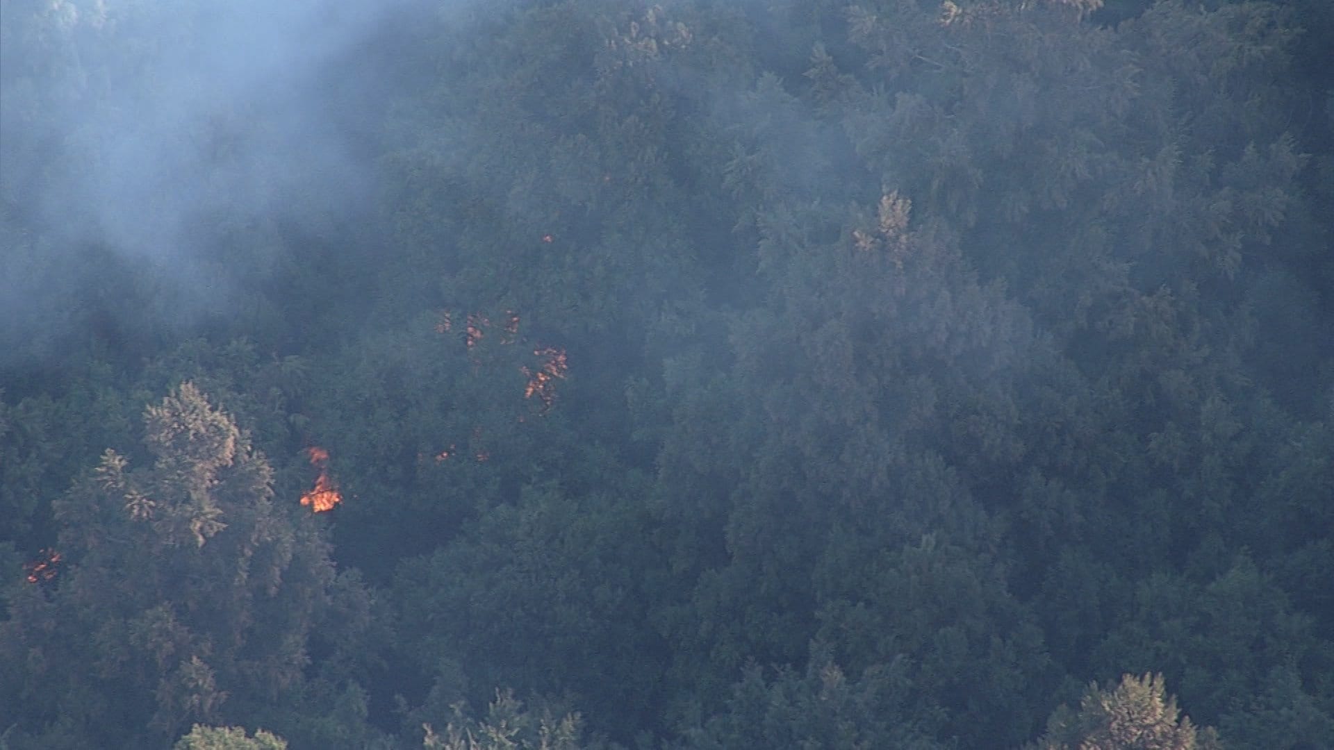 静岡・藤枝市の山林火災延焼続く　消防車9台とヘリ3機が消火活動　けが人や建物への被害なし