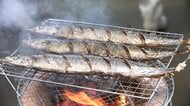 サンマの卸値「去年の3.3倍」　旬なのに扱わない鮮魚店も　秋限定・サンマカレーの飲食店も“悲鳴”