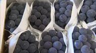 猛暑には水の管理で！「黒い真珠」ニューピオーネの出荷が新見市で本格化　生産者の思いを都会に【岡山】
