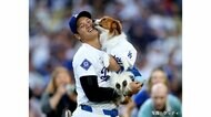 “賞タイム”大谷翔平選手5冠なるか？「デコピンスーツ」ファッションで新たな名誉も「デコピンに勝てる者はいない」　