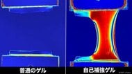 人工靭帯への応用も？引っ張ると頑丈になる新しい「ゲル」を開発…従来との違いを聞いた