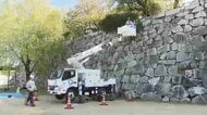 福岡城跡の大掃除に「高所作業車」　手の届かない石垣の“草抜き”　「皆さんの役に立てることが励み」