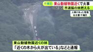 「木から火が出ている」名古屋の東山動植物園近くの林で枯れ草が燃える火事 約16平方ｍが焼けるもケガ人なし