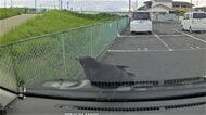 カラスによる“ワイパー破壊”相次ぐ　動物よけマットも効果なく…専門家「あくまでも“遊び”」