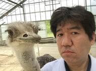 自分の家族もわからなくなる!? 「鈍感でアホ」ダチョウの生態と生命力の強さ