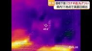 天気も料理人もアツい！松山のウナギ専門店「土用の丑の日」前　仕入れ値下がり５００円割引券【愛媛】