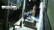 神社のこま犬をハンマーで殴り破壊「罰当たりですよね」住民憤り　犯人は自転車で逃走　横浜市