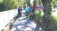 【速報】幼稚園児5人がハチに刺されて病院搬送　頭や顔、首など　栗拾いで横浜市訪れた都内の園児　いずれも軽傷　