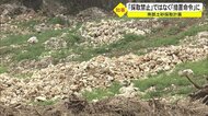 南部採石業者に玉城知事「措置命令」 中止命令は見送り