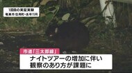 ナイトツアーのルール作りに向け 環境省が連絡会議を設置 鹿児島・奄美大島