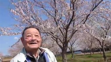 12年前の島民の思い…成長を続ける桜ストーリー【島根発】