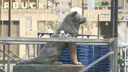 しばしお別れ…ハロウィン対策で渋谷のハチ公像に仮囲い　渋谷区長「迷惑ハロウィンする方は来ないで」