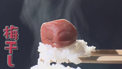 「もっと食べて 梅干し」 行き場のなく“パンク”で登場 “SNS発信”担当「うめたん」さんのおすすめレシピ【大阪発】