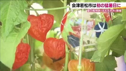 商売繁盛や健康への願いを込めて　会津若松市・夏の風物詩「ほおずき市」　猛暑日のなか暑さ対策も万全に