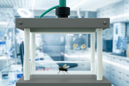 5月4日は「日本ゴーシェ病の日」!希少疾患ゴーシェ病モデル動物に電界処置が効果