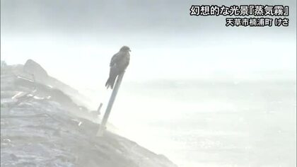 幻想的な雰囲気　天草市で『蒸気霧』【熊本】