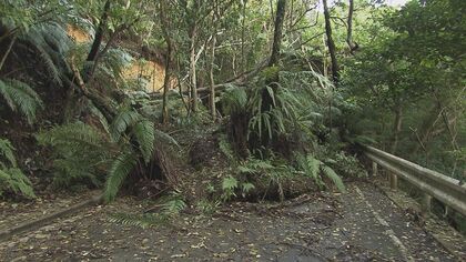 大雨被害から1週間経過するも国頭村の住民18人はいまだ帰宅できず　土砂崩れで道路は崩落し通行止め続く