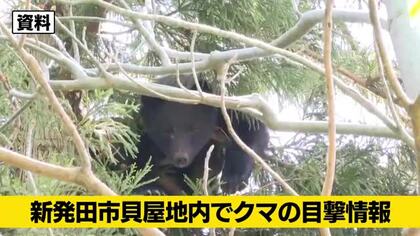 【クマ目撃情報】新潟・新発田市でクマ1頭を目撃　山林に入る姿を確認