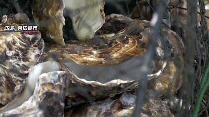 養殖の牡蠣“大量死”で鈴木農水相があす広島県視察へ　養殖業者と意見交換…全体像把握し対応進める考え