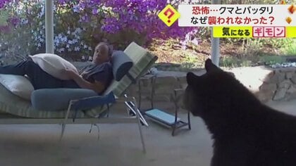 【クマが度々訪れる家】くつろぐ男性に接近も驚いて3秒固まる　その後クマの方が逃亡…なぜ助かった？　米・ノースカロライナ