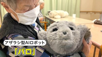 日本発の“最もセラピー効果があるロボット”・「パロ」が世界で 日本発の“最もセラピー効果があるロボット”・「パロ」が世界で