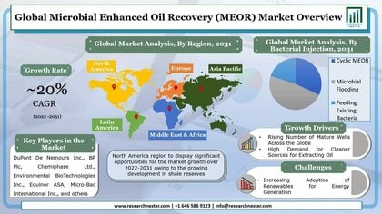 微生物強化油回収 Meor 市場ーバクテリア注入別 サイクリックmeor 微生物フラッディング 既存のバクテリアへの給餌 タイプ別 アプリケーション別 グローバルな需要分析と 機会の見通し31年