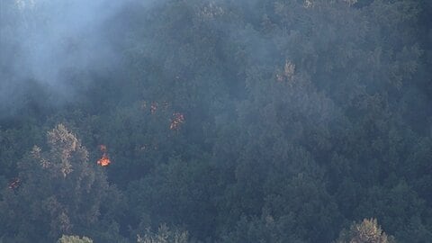 静岡・藤枝市の山林火災延焼続く　消防車9台とヘリ3機が消火活動　けが人や建物への被害なし