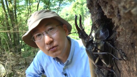 昆虫動画が子どもに人気
