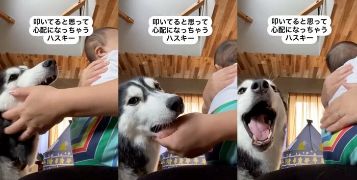 提供:akariさん