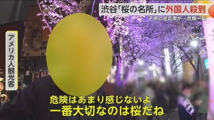 アメリカ人観光客からは驚きの言葉が…