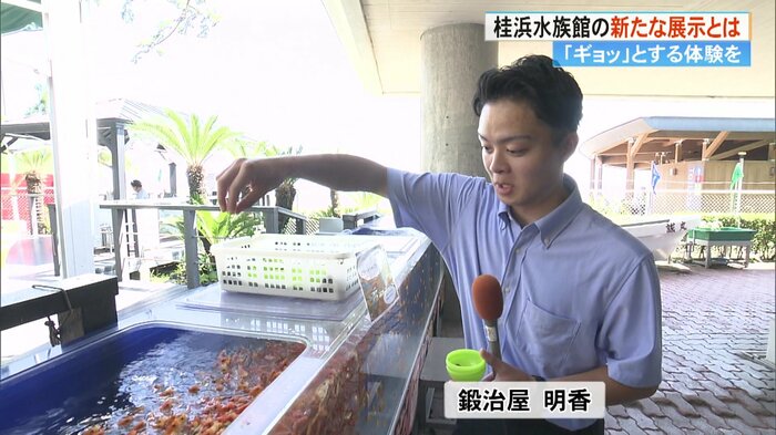 鍛治屋アナウンサーもえさやりにチャレンジ!