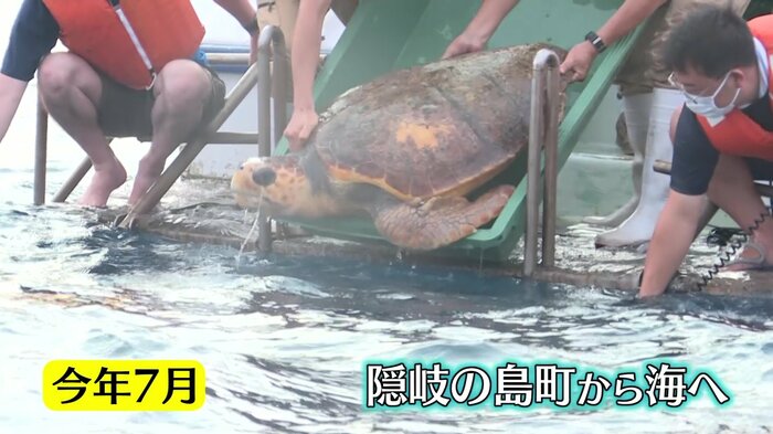 リハビリを終え、海へ帰る